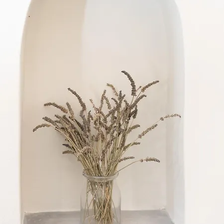 Villa Nonna, 1800s House Renovated In 2023